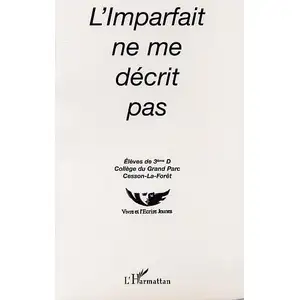 L'harmattan L'imparfait Ne Me Decrit Pas pas cher