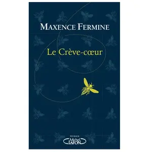Michel Lafon Le crève-coeur pas cher