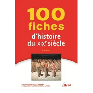 Bréal 100 fiches d'histoire du 19ème siècle pas cher