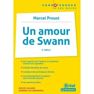 Bréal Un amour de Swann, Marcel Proust pas cher