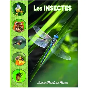 Piccolia Les insectes pas cher