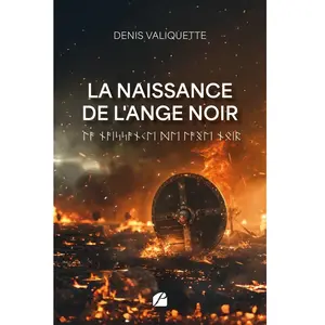 La naissance de l'ange noir Denis Valiquette pas cher