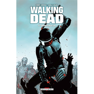 Comparateur de prix : Éditions Delcourt Walking Dead Tome 5 - Monstrueux