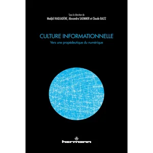 Hermann Culture informationnelle: Vers une propédeutique du numérique pas cher