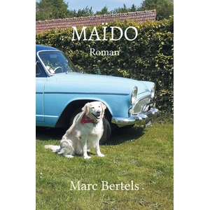 Stylit Maïdo broché