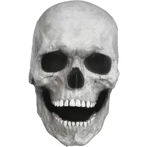 Tête Complète Crâne Masque Halloween
