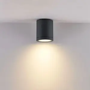 Molto Luce FORIS Projecteur LED, 333-00109,