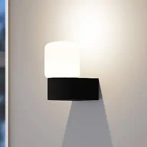 Molto Luce applique d'extérieur Lanu Flat, noir, aluminium/verre pas cher