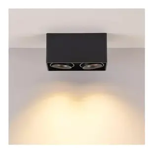 Molto Luce QANA DOUBLE SQUARE SD Projecteur, GU10, 222-00014,Vendu parreuter