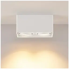 Molto Luce QANA DOUBLE SQUARE SD Projecteur, GU10, 222-00013,Vendu parreuter