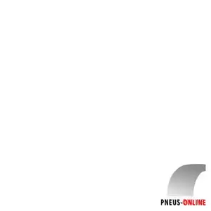Pewag ServoStar RSC 950 V      Vendu parpneus-online