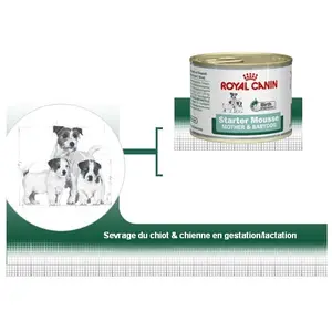 Wet Starter Mousse - Royal Canin pas cher
