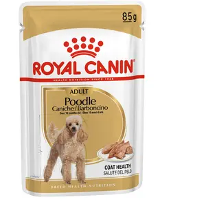 12x85g Royal Canin Caniche Adult pour chien pas cher
