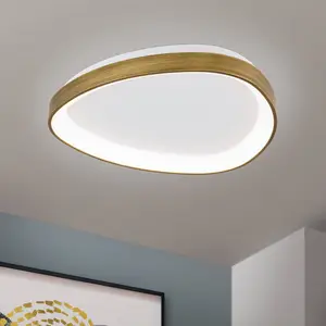 Orion Plafonnier LED Charlie, Ø 45 cm, blanc opalin, laiton vieilli pas cher