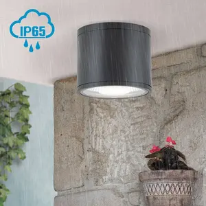Orion Spot plafond LED Sputnik IP65 Ø 14,5 cm noirVendu parluminaire