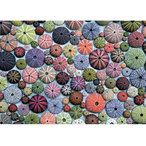 Piatnik - Puzzle 1000 Pièces Oursin - Puzzle en Carton 1000 Pièces - Fabriqué en Autriche - 5488 pas cher