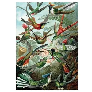 Puzzle 1000 pièces Piatnik Haeckel Colibris pas cher