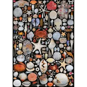 Piatnik 5586 Puzzle de 1 000 pièces pas cher