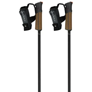 Fischer Bâtons Gt 13 Carbon Mag pas cher
