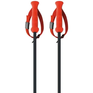 Fischer Bâtons Rd 13 Carbon pas cher