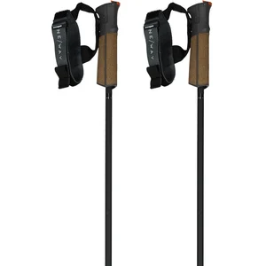 Fischer Bâtons Gt 11 Carbon Mag pas cher