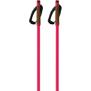 Fischer Bâtons Storm Gtx L pas cher