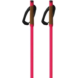 Fischer Bâtons Storm Gtx M pas cher