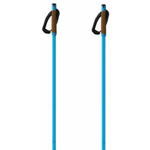 Fischer Bâtons Storm Gtx S pas cher