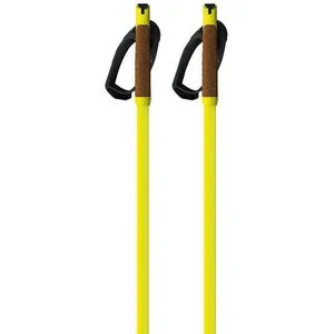 Fischer Bâtons Storm Gtx L pas cher