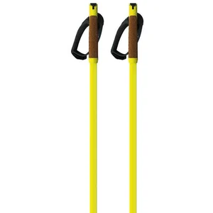 Fischer Bâtons Storm Gtx S pas cher