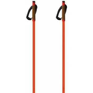 Fischer Bâtons Storm Gtx S pas cher