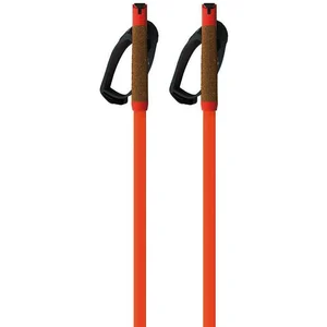 Fischer Bâtons Storm Gtx M pas cher
