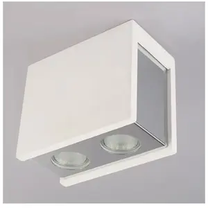 Globo Lighting Christine Spot/Plafonnier, 2 sources lumineuses, 55010-2D, pas cher