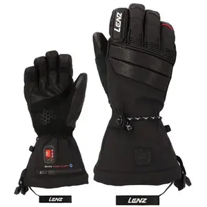 Lenz Heat Glove 9.0 Gants chauffants, noir, taille L pour HommesVendu parsnowinn