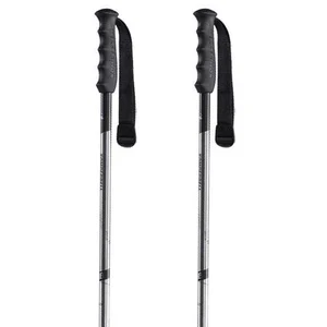 Bâtons Komperdell Blazer gris argent (paire) - 125 pas cher