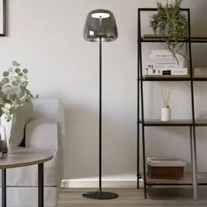 Comparateur de prix : EGLO connect Lampe sur pied LED Alfero-Z, RVB, CCT, noir