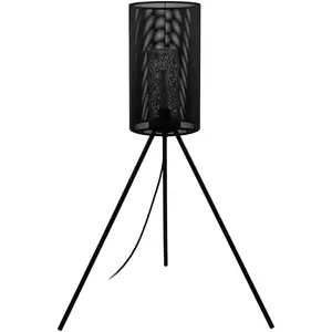 Comparateur de prix : EGLO Lampe sur pied Ladunara en noir avec trépied