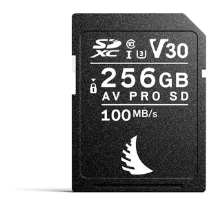 Angelbird Carte AV Pro SD V30 256 Go pas cher