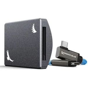 Angelbird module d'enregistrement CFexpress B Space Gray pas cher