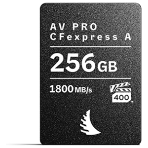 Angelbird AV Pro CFexpress A 256 Go pas cher