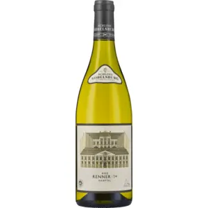 Schloss Gobelsburg Ried Renner Erste Lage Gruner Veltliner 2022 0.75 l pas cher