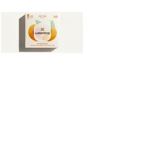 Microdrink Waterdrop Thé Glacé Pêche 12 x 500 ml pas cher