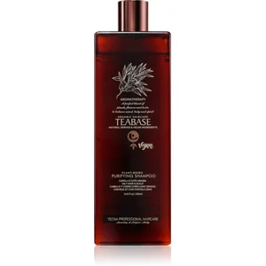 Tecna Purifying shampoing pour cuir chevelu gras 500 ml pas cher