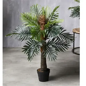 FIJALO Palmier Phoenix 92 cm. 92 cm pas cher