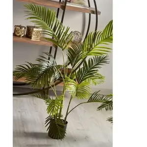 FIJALO Plante Kentia 140 cm. 140 cm pas cher