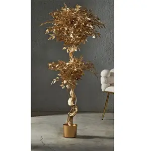 Plante Ficus Benjamin Gold 154 cm. 78 x 154 cmVendu parrue-du-commerce