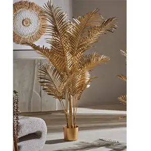 Plante Kentia Gold 160 cm. 125X160 cmVendu parrue-du-commerce