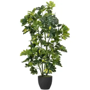 Plante Schefflera Arboricola 50X50X95 Cm pas cher