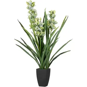 Orchidée Cymbidium 70 x 70 x 110 cm pas cher