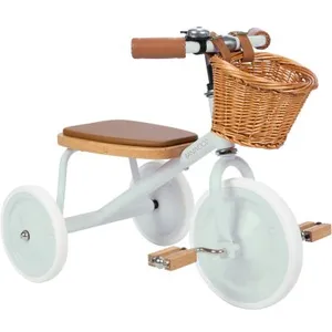 Banwood Tricycle évolutif Trike menthe pas cher